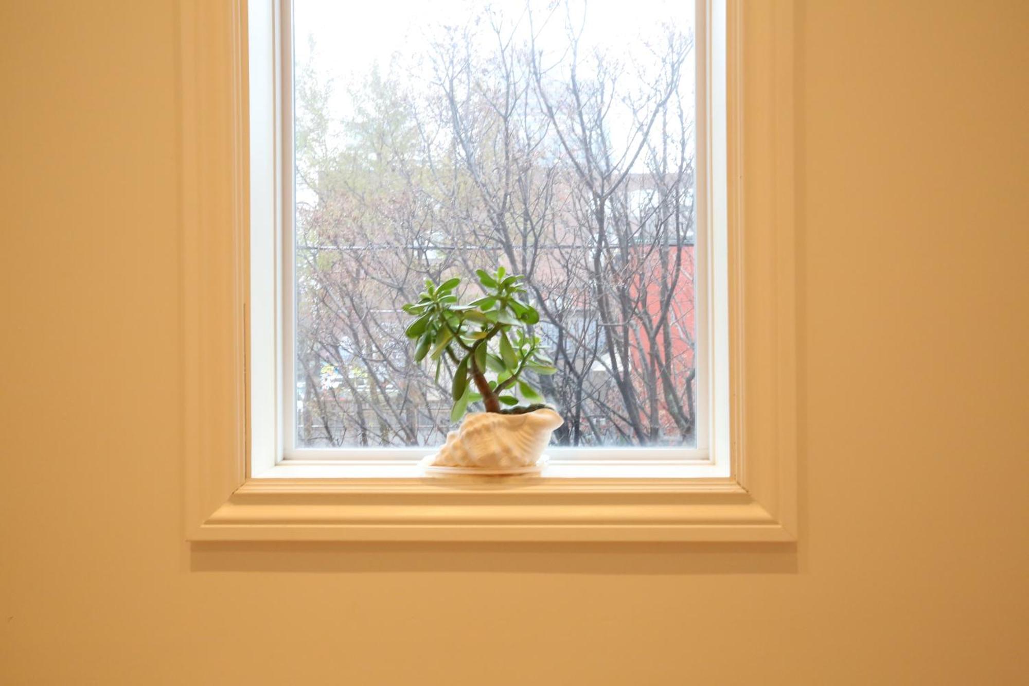 Bed and Breakfast Xiao Wang Toronto Zewnętrze zdjęcie